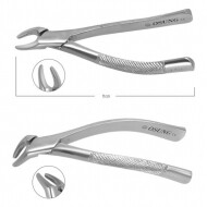 Extraction Forceps Pedo   Osung