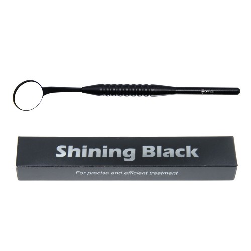 Royva Shining Black 로이바 샤이닝블랙 (엔도미러) 밝은미러