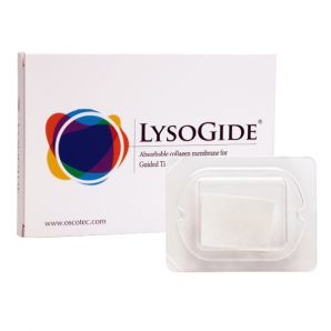 Lysogide / 라이소가이드 (15*20mm) [반품불가][전화문의]