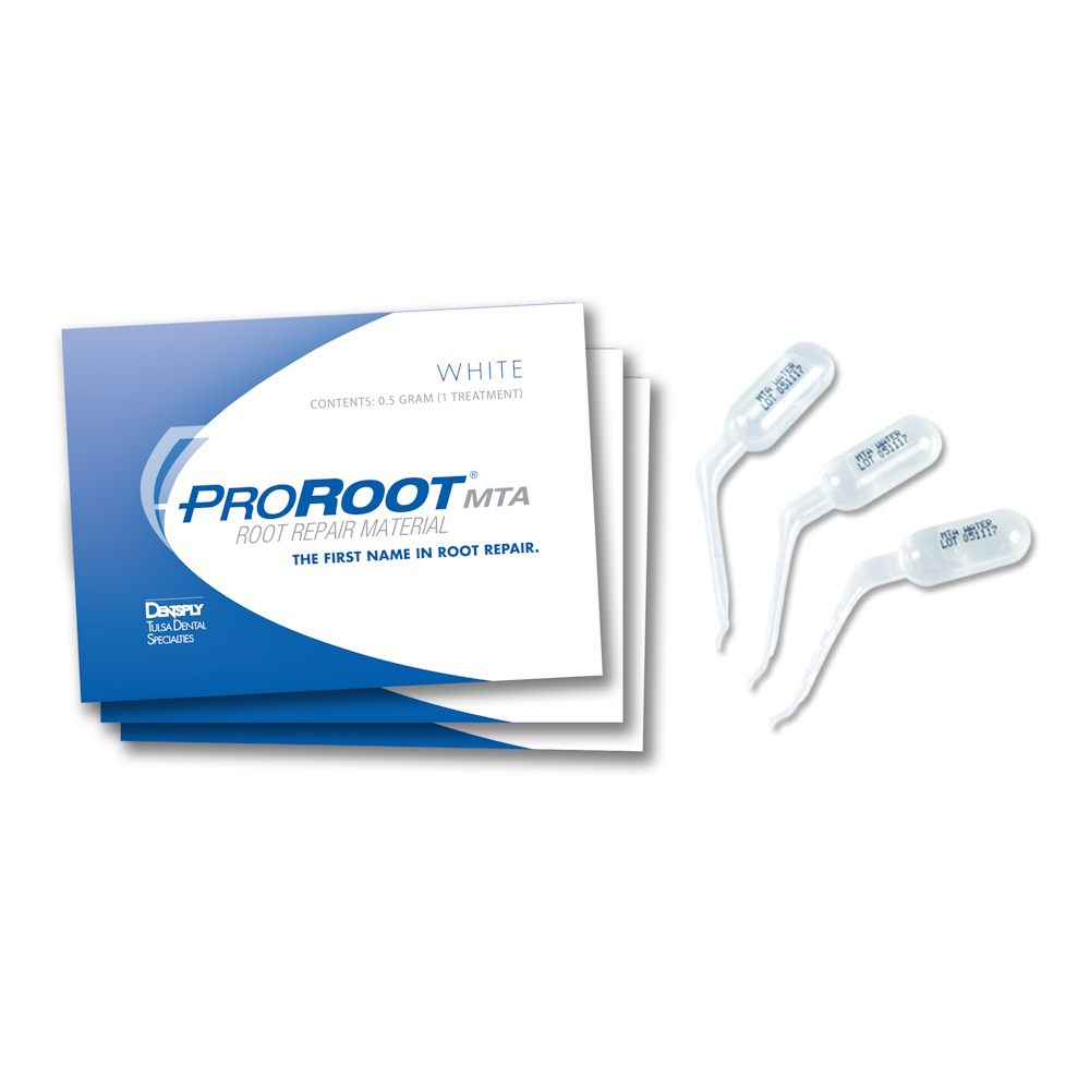Pro Root MTA Refill / 프로루트 MTA 리필 [0.5g*10개]