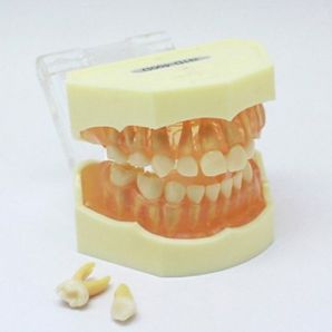 소아용덴티폼(한일)HL-60058,HL-60059