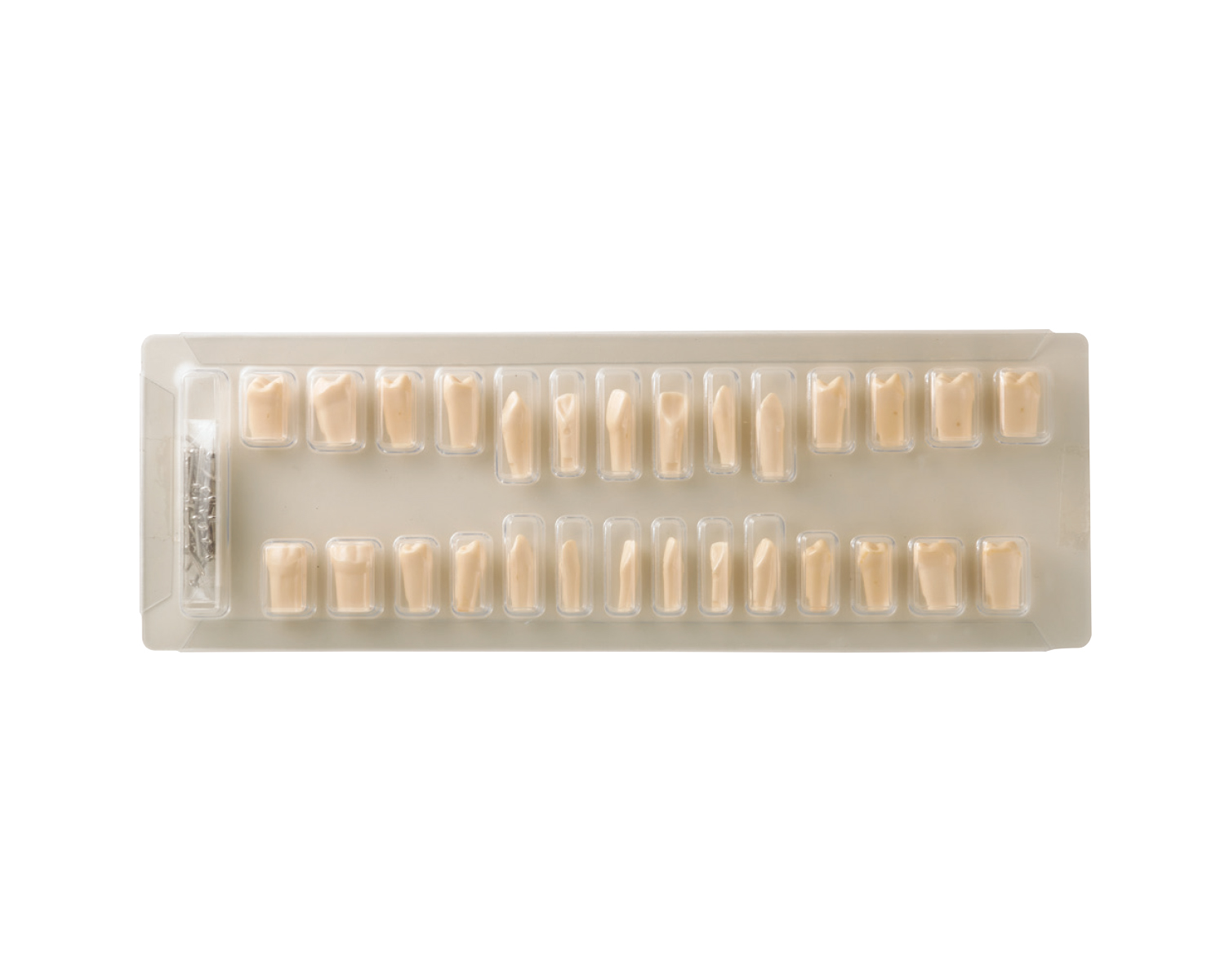 melamin Model Set (Teeth 28) / 덴티폼 치아세트 HL-60600